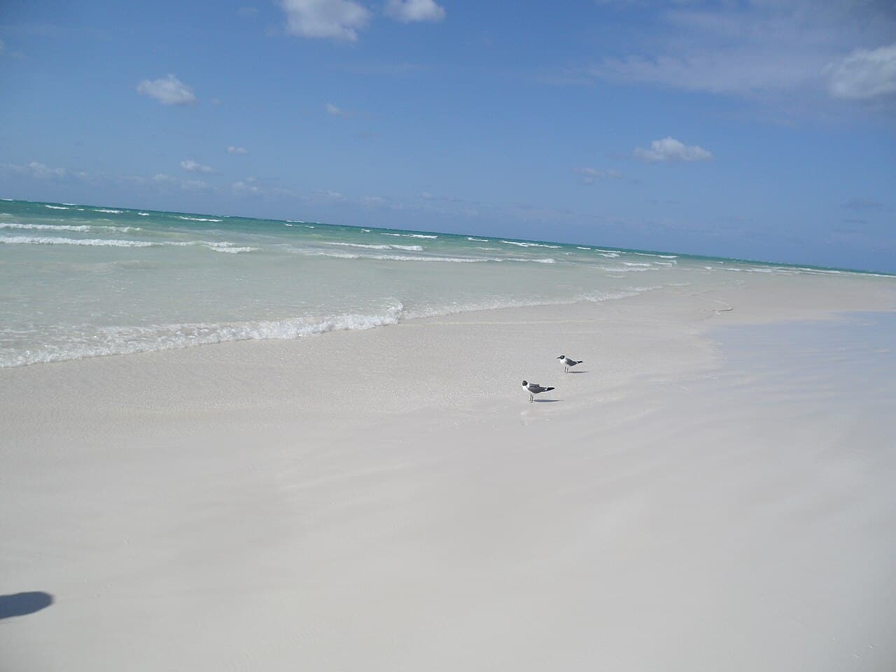 Carnival Elation — 5-Day Bahamas
