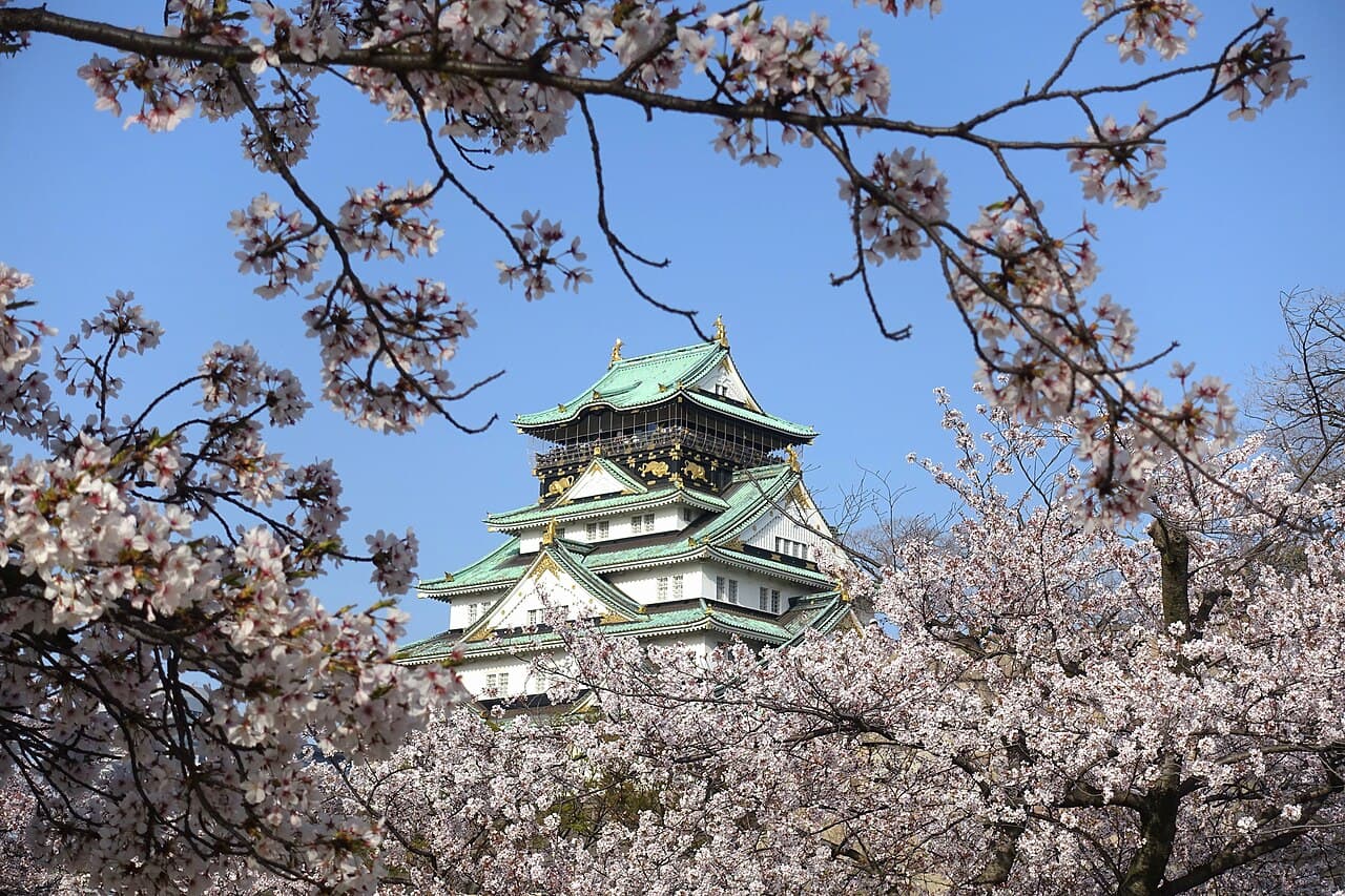 Norwegian Jade — Asia Voyage with Tokyo & Seoul Stay